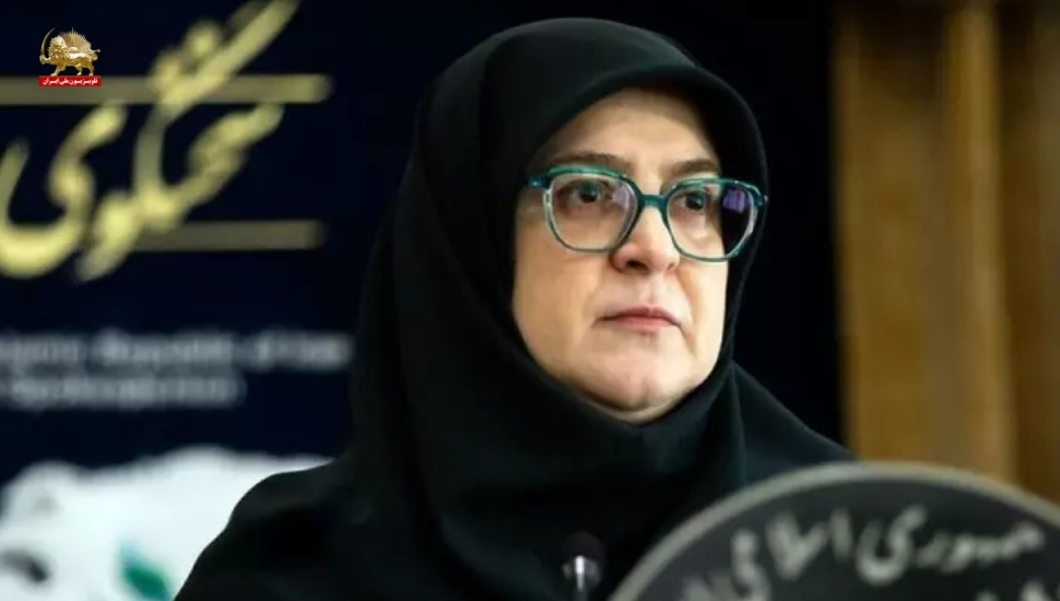 مهاجرانی سخنگوی پزشکیان: سایتهای هستهای ما آسیب جدی دیده است